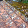 Roof After Scraping.JPG